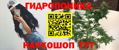 ГАЛЛЮЦИНОГЕННЫЕ ГРИБЫ Коммунар