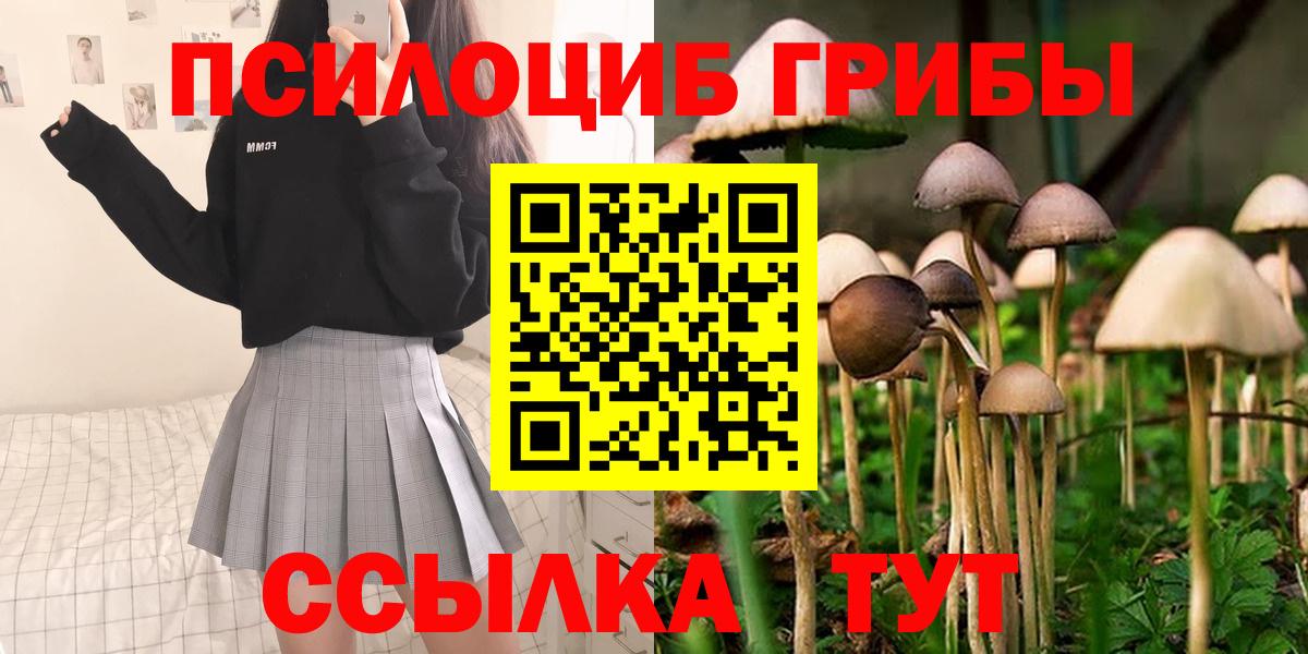 Королёв  Галлюциногенные грибы Cubensis  магазин    Вход с VPN 